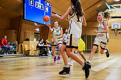 19.10.2024 Österreichischer Basketballverband 2024/25, SLWU16, WAT 3 Capricorns vs. UBBC Herzogenburg

