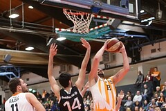 Basketball ABL 2016/17, Grunddurchgang 15.Runde BK Dukes Klosterneuburg vs. Traiskirchen Lions