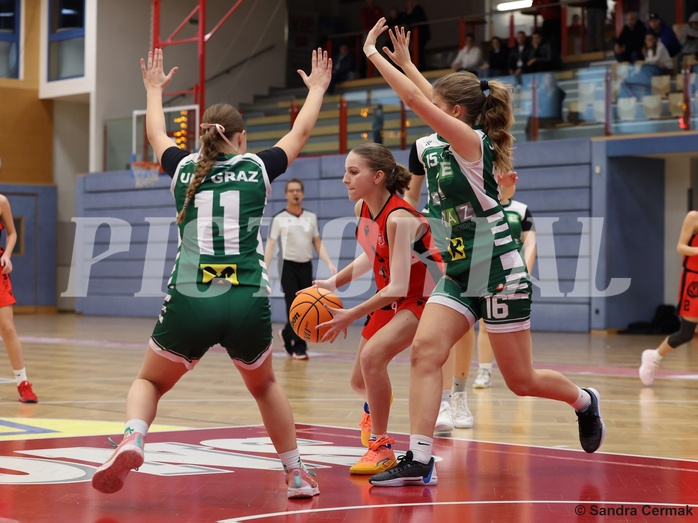 Basketball Superliga 2024/25, SLWU14 Traiskirchen Lionesses vs. UBI Graz


