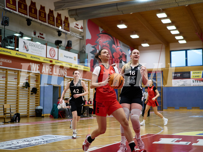 Basketball Superliga 2024/25, SLWU16 Traiskirchen Lionesses vs. BBC Nord Dragons


