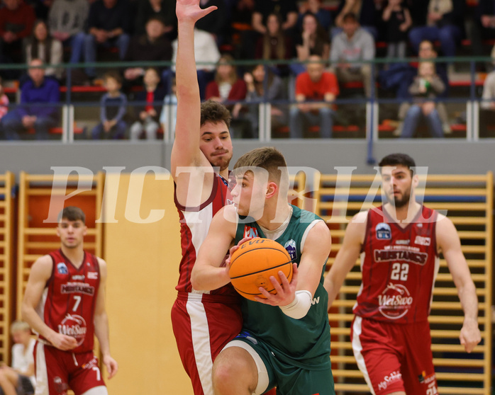 Basketball Zweite Liga 2023/24, Grunddurchgang 16.Runde Mistelbach Mustangs vs. Dornbirn Lions


