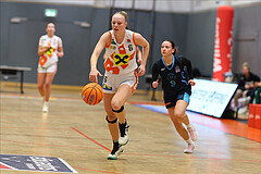Basketball Damen Supercup 2024/25, 4.Runde BK Duchess Klosterneuburg vs. Vienna Timberwolves


