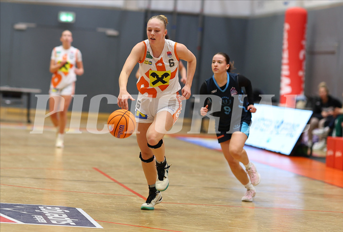 Basketball Damen Supercup 2024/25, 4.Runde BK Duchess Klosterneuburg vs. Vienna Timberwolves


