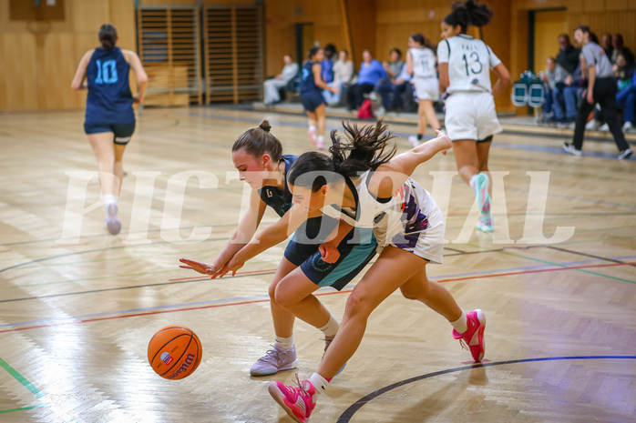 01.12.2024 Österreichischer Basketballverband 2024/25, SLWU19, Vienna United vs. Vienna Timberwolves