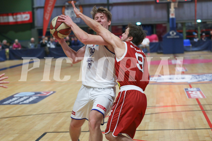 Basketball Basketball Superliga 2019/20, Grunddurchgang 16.Runde Runde D.C. Timberwolves vs. Traiskirchen Lions
