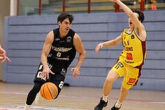 Basketball Zweite Liga 2024/25, Grunddurchgang 11.Runde Traiskirchen Lions NextGen vs. Güssing Blackbirds


