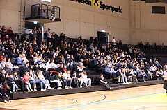 31.01.2025, Graz, Raiffeisen Sportpark Graz, Basketball Superliga 2024/25, Grunddurchgang, Runde 19, UBSC Graz - BC Vienna