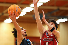 Basketball Zweite Liga 2024/25, Grunddurchgang 15.Runde Mistelbach Mustangs vs. Vienna Timberwolves


