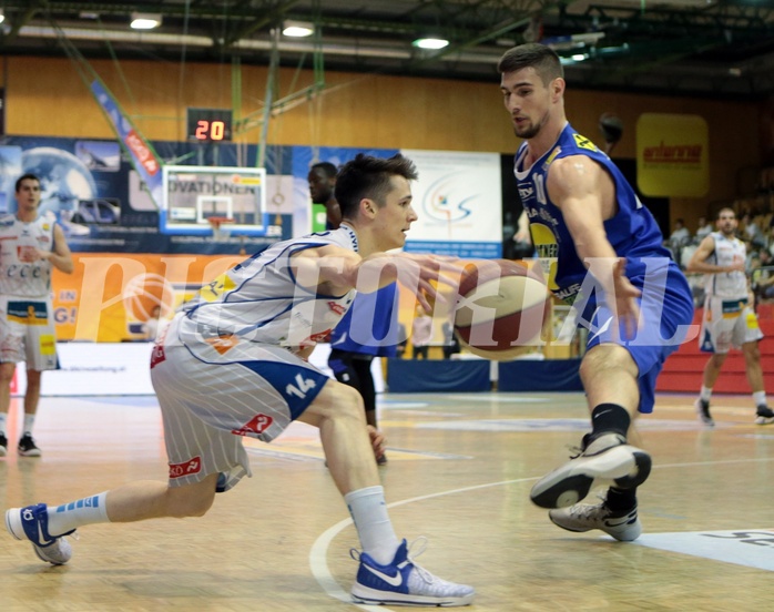 Basketball ABL 2016/17 Grunddurchgang 29.Runde  Kapfenberg bulls vs Gumden Swans