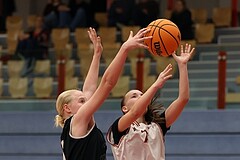 Basketball Superliga 2024/25, SLWU14 Traiskirchen Lionesses vs. ATUS Gratkorn Scorpions


