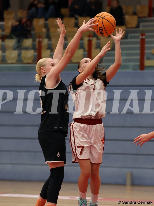 Basketball Superliga 2024/25, SLWU14 Traiskirchen Lionesses vs. ATUS Gratkorn Scorpions


