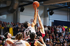 Basketball 2. Liga 2022/23, Finale Spiel 2, Guessing Blackbirds vs. Mistelbach Mustangs