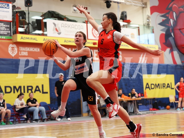 Basketball Superliga 2024/25, SLWU16 Traiskirchen Lionesses vs. DBK Steyrer Witch Cadets


