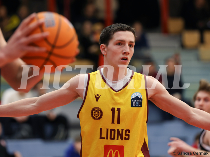 Basketball Zweite Liga 2024/25, Grunddurchgang 16.Runde Traiskirchen Lions NextGen vs. Vienna United



