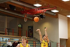 Basketball Zweite Liga 2024/25, Grunddurchgang 17.Runde Traiskirchen Lions NextGen vs. Raiders Tirol


