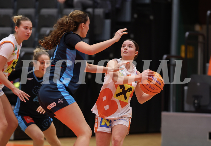 Basketball Damen Supercup 2024/25, 4.Runde BK Duchess Klosterneuburg vs. Vienna Timberwolves


