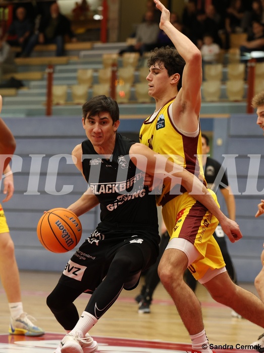 Basketball Zweite Liga 2024/25, Grunddurchgang 11.Runde Traiskirchen Lions NextGen vs. Güssing Blackbirds


