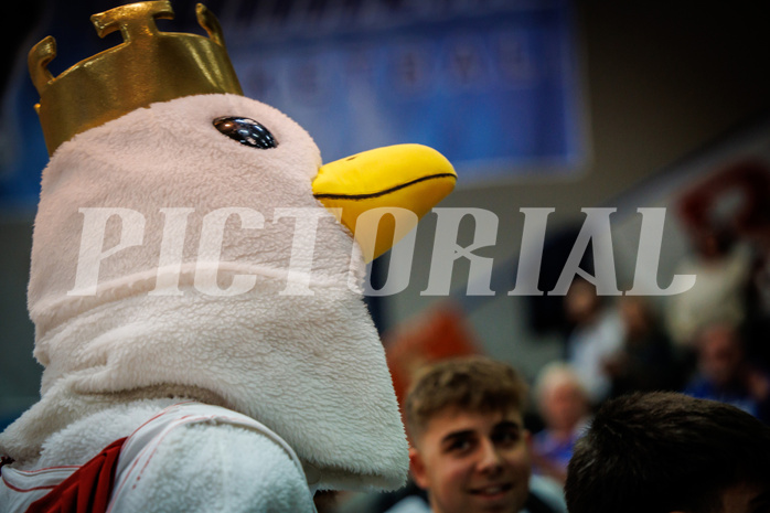Basketball, Basketball Austria Cup 2022/23, Halbfinale 1, Oberwart Gunners, Gmunden Swans, #mascot