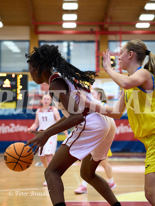 Basketball Superliga 2024/25, SLWU16 Traiskirchen Lionesses vs. UBBC Herzogenburg


