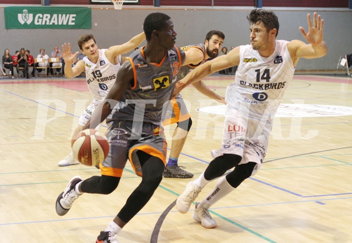 Basketball 2.Bundesliga 2019/20 Grunddurchgang 1.Runde  Güssing/Jennersdorff Blackbirds vs Fürstenfeld Panthers