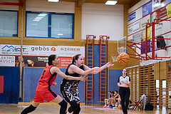 Basketball Superliga 2024/25, SLMU16 Traiskirchen Lionesses vs. VKL Vikings Kammer


