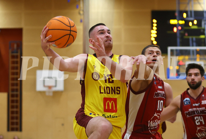 Basketball Zweite Liga 2024/25, Grunddurchgang 9.Runde Mistelbach Mustangs vs. Trasikirchen NextGen


