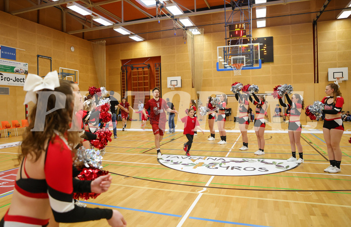 Basketball Zweite Liga 2023/24, Playoff Viertelfinale Spiel 1 Mistelbach Mustangs vs. Dornbirn Lions


