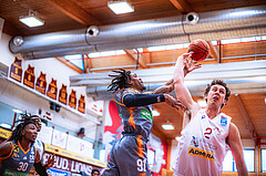 Basketball Basketball Superliga 2021/22, 4. Qualifikationsrunde Traiskirchen Lions vs. Klosterneuburg Dukes
