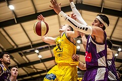 Basketball, ABL 2018/19, Grunddurchgang 12.Runde, Vienna D.C. Timberwolves, UBSC Graz, 