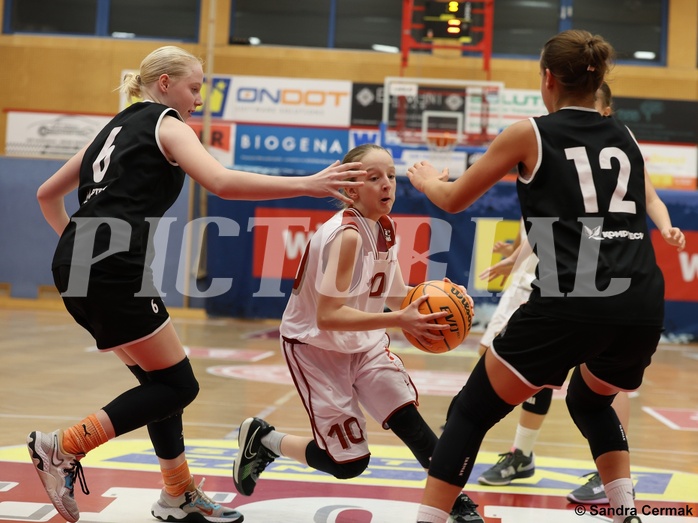 Basketball Superliga 2024/25, SLWU14 Traiskirchen Lionesses vs. ATUS Gratkorn Scorpions


