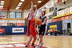 Basketball Superliga 2024/25, SLWU16 Traiskirchen Lionesses vs. DBK Steyrer Witch Cadets


