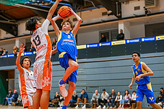 14.12.2024 Österreichischer Basketballverband 2024/25, SLMU14, Basket Dukes vs. SKN St. Pölten
