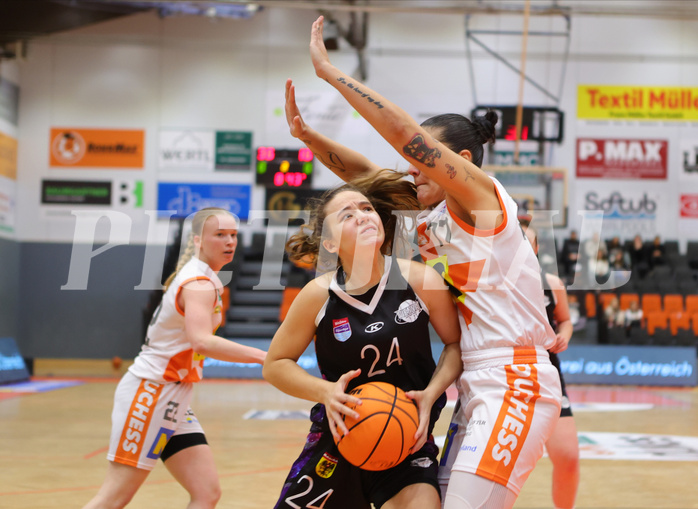 Basketball Damen Superliga 2023/24, Grunddurchgang Spiel 5 BK Duchess Klosterneuburg vs. Vienna United
Basketball Damen Superliga 2023/24, Grunddurchgang Spiel 5 BK Duchess Klosterneuburg vs. Vienna United