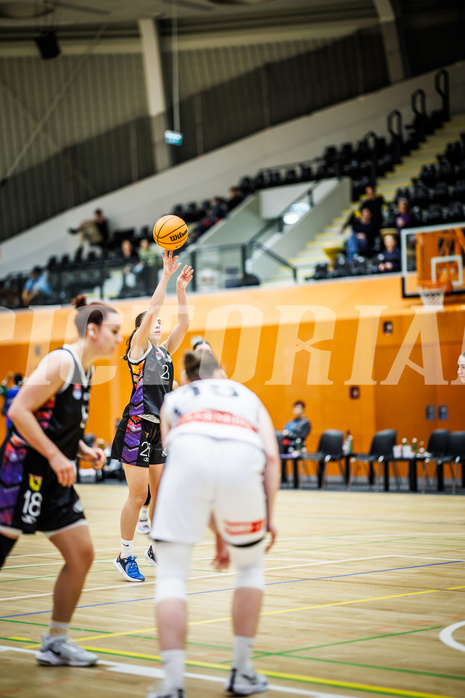 Basketball, Win2Day Basketball Damen Superliga 2023/24, Grunddurchgang 12.Runde, Vienna Timberwolves, Vienna United, Klara Brunner (25)