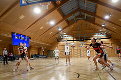 23.02.2025 Österreichischer Basketballverband 2024/25, SLWU16 Vienna Timberwolves vs. Basket Duchess