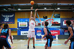 Basketball 2. Liga 2024/25, Grunddurchgang 10.Runde , Future Team Steiermark vs. Timberwolves



