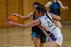 01.12.2024 Österreichischer Basketballverband 2024/25, SLWU19, Vienna United vs. Vienna Timberwolves