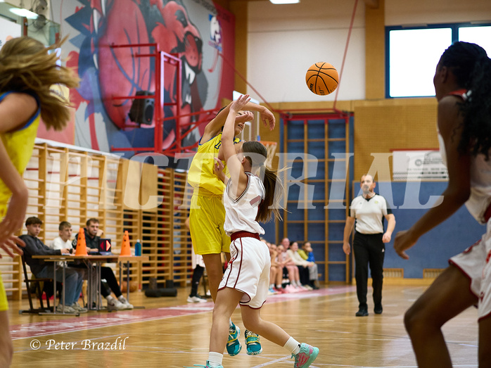 Basketball Superliga 2024/25, SLWU16 Traiskirchen Lionesses vs. UBBC Herzogenburg


