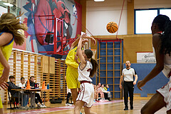 Basketball Superliga 2024/25, SLWU16 Traiskirchen Lionesses vs. UBBC Herzogenburg


