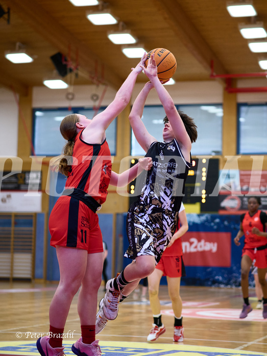 Basketball Superliga 2024/25, SLMU16 Traiskirchen Lionesses vs. VKL Vikings Kammer


