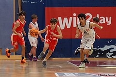 Basketball Superliga 2024/25, SLMU14 Traiskirchen Lions Academy vs. ATSE Graz


