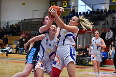 Basketball Superliga 2022/23, Grunddurchgang 10. Runde, DBB LZ OÖ vs Vienna Timberwolves,



