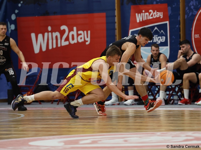 Basketball Zweite Liga 2024/25, Grunddurchgang 22.Runde Traiskirchen Lions NextGen vs. Mistelmach Mustangs
