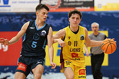 Basketball Zweite Liga 2024/25, Grunddurchgang 1.Runde Traiskirchen Lions NextGen vs. Vienna Timberwolves


