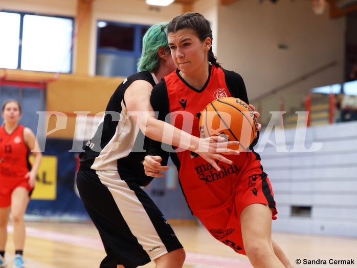 Basketball Superliga 2024/25, SLWU16 Traiskirchen Lionesses vs. DBK Steyrer Witch Cadets


