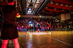 Basketball, Win2Day Superliga 2024/25, Playoffs, Halbfinale Spiel 2, Traiskirchen Lions, Oberwart Gunners, Traiskirchen Lions, feature