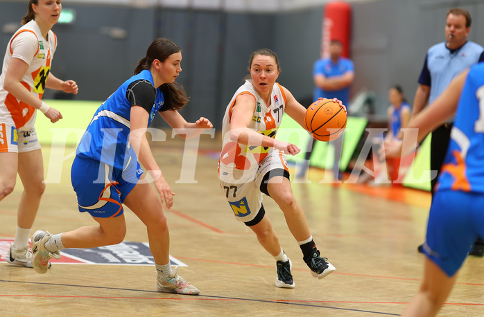 Basketball Damen Superliga 2024/25, Semifinale Spiel 1 Duchess Klosterneuburg vs. DBB Wels


