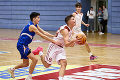 Basketball Superliga 2024/25, SLMU16 Traiskirchen Lionesses vs. FCN Baskets Wels


