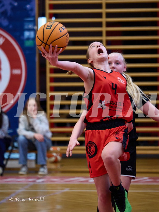 Basketball Superliga 2024/25, SLWU14 Traiskirchen Lionesses vs. Gratkorn Scorpions


