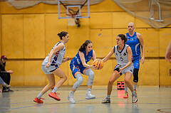 Basketbal lAustria Cup 2024/25, Viertelfinale Vienna United vs. DBB Wels


